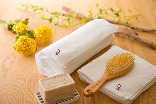 Azuma Trading Co., Ltd. [Same Price, Includes Imabari Towel] Horse Oil Body Soap Refill 1000ml / Skin Care Tabibijin Bayu