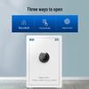Tiger Smart Home Office Anti-theft Safe
