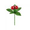 Berry Pick