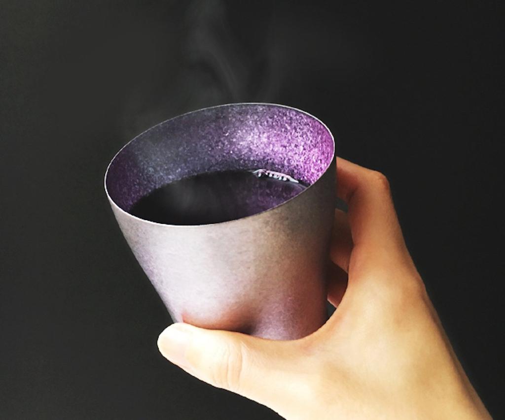 HORIE Made In Niigata Prefecture Titanium Double Tumbler Koga 250cc Made In Japan Tsubame, (Iridescent) T15KG250-3