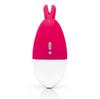Happy Rabbit - Silicone Panty Vibrator with Ears