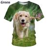 New Summer 3D Cute Animal Golden Retriever Printing T Shirt Children Fashion Harajuku Short Sleeves Funny