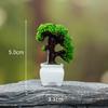 Micro-landscape creative potted plants welcome pine small bonsai diy gardening ecological bottled jewelry accessories desktop small ornaments
