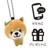 [LamPlanning] [Series-2] Traveling Mameshiba Keychain Mascot Ball Chain Bag Charm Cute Fluffy Shiba Inu Mameshiba Soothing (Orange)