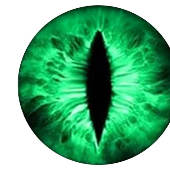 1 Paar Beast Eyes Koplampstickers Realistische Oogstickers Weerbestendig UV-Bestendig Vinyl Eenvoudige Applicatie Uniek Accent voor Vrachtwagens & Off-Road