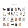 46Pcs Cute Cat Diary Decorative Boxed Stickers Kawaii Pets Scrapbooking Label Diary Album Journal Planner Student Supplies