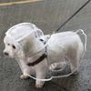 Transparenter wasserdichter Hundemantel, geeignet für kleine und mittelgroße Hunde (wie Teddyhunde und Bichon Frisé),Spaziergang im Regen
