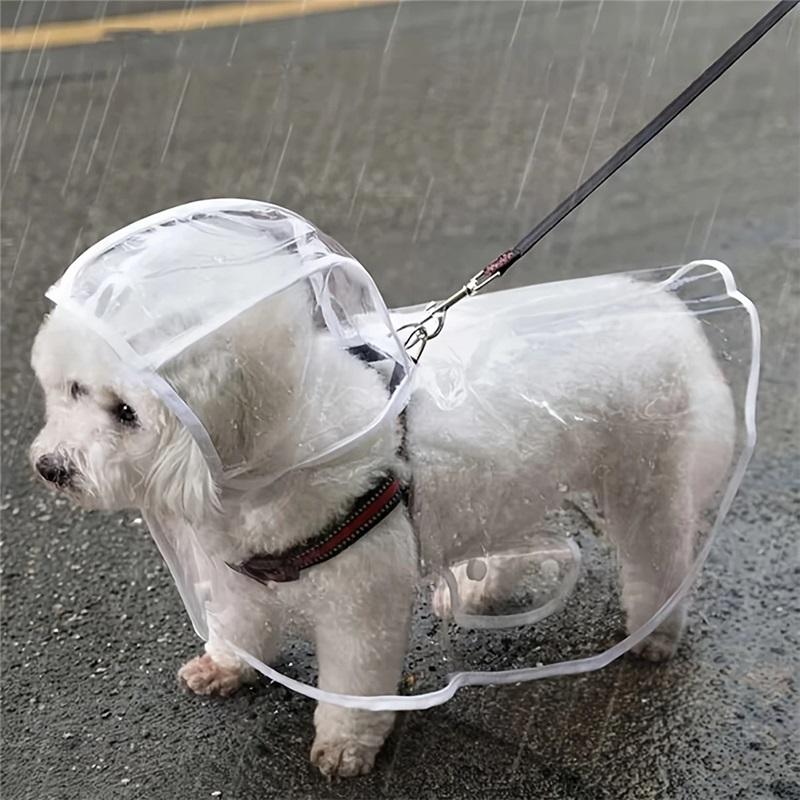 Transparenter wasserdichter Hundemantel, geeignet für kleine und mittelgroße Hunde (wie Teddyhunde und Bichon Frisé),Spaziergang im Regen