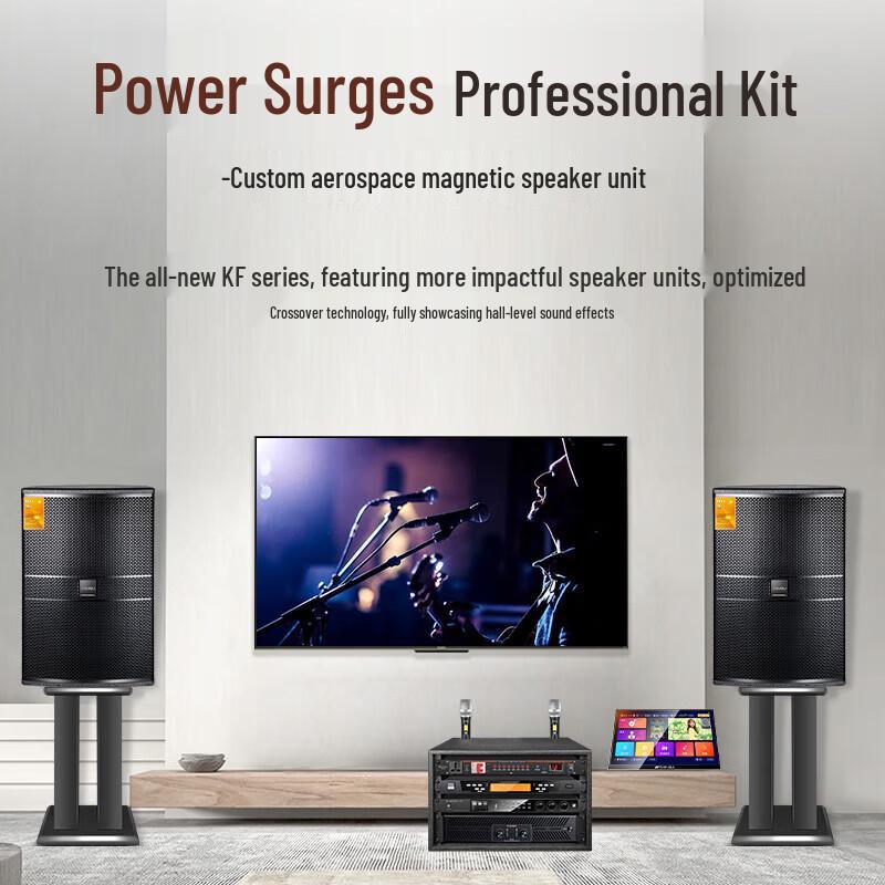 SANSUI Home KTV Amplifier & 12-inch Speaker System CN plug (adapter included)