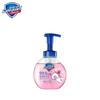 Safeguard Cherry Blossom Scented Foaming Hand Soap