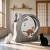Garvee 3 en 1 Roue d'Exercice pour Chat en Bois Massif Grande Taille Fournitures pour Animaux Anti-Pincement Pied Rouleau de Fitness Structure d'Escalade pour Chat Jouet pour Chien