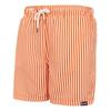 Regatta Mens Loras Stripe Swim Shorts