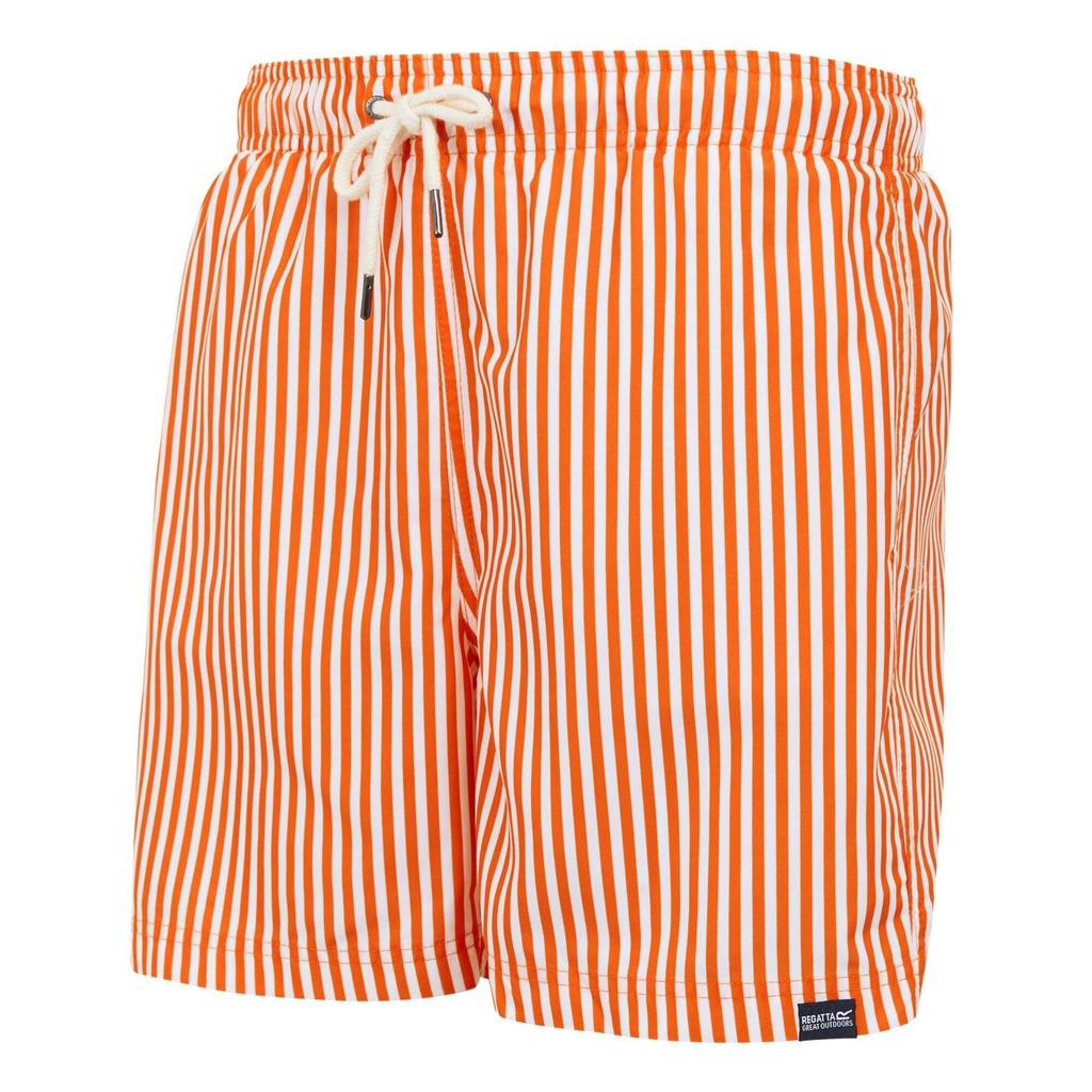 Regatta Mens Loras Stripe Swim Shorts