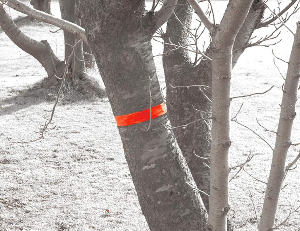 Shinwa Sokutei Marking Tape 30mmX50m Fluorescent Orange 73800