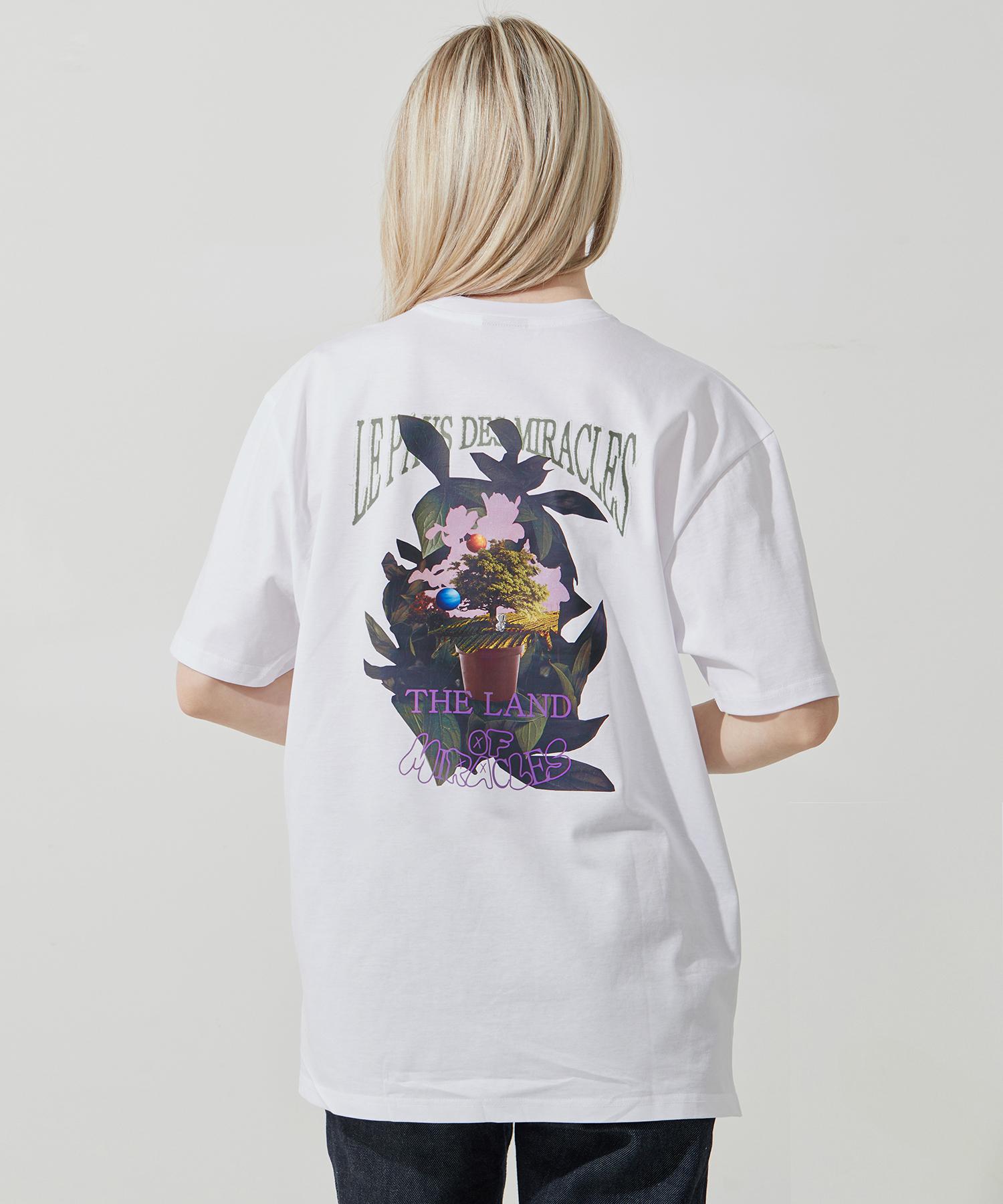 Aox Land Miracle T-Shirt (White) White
