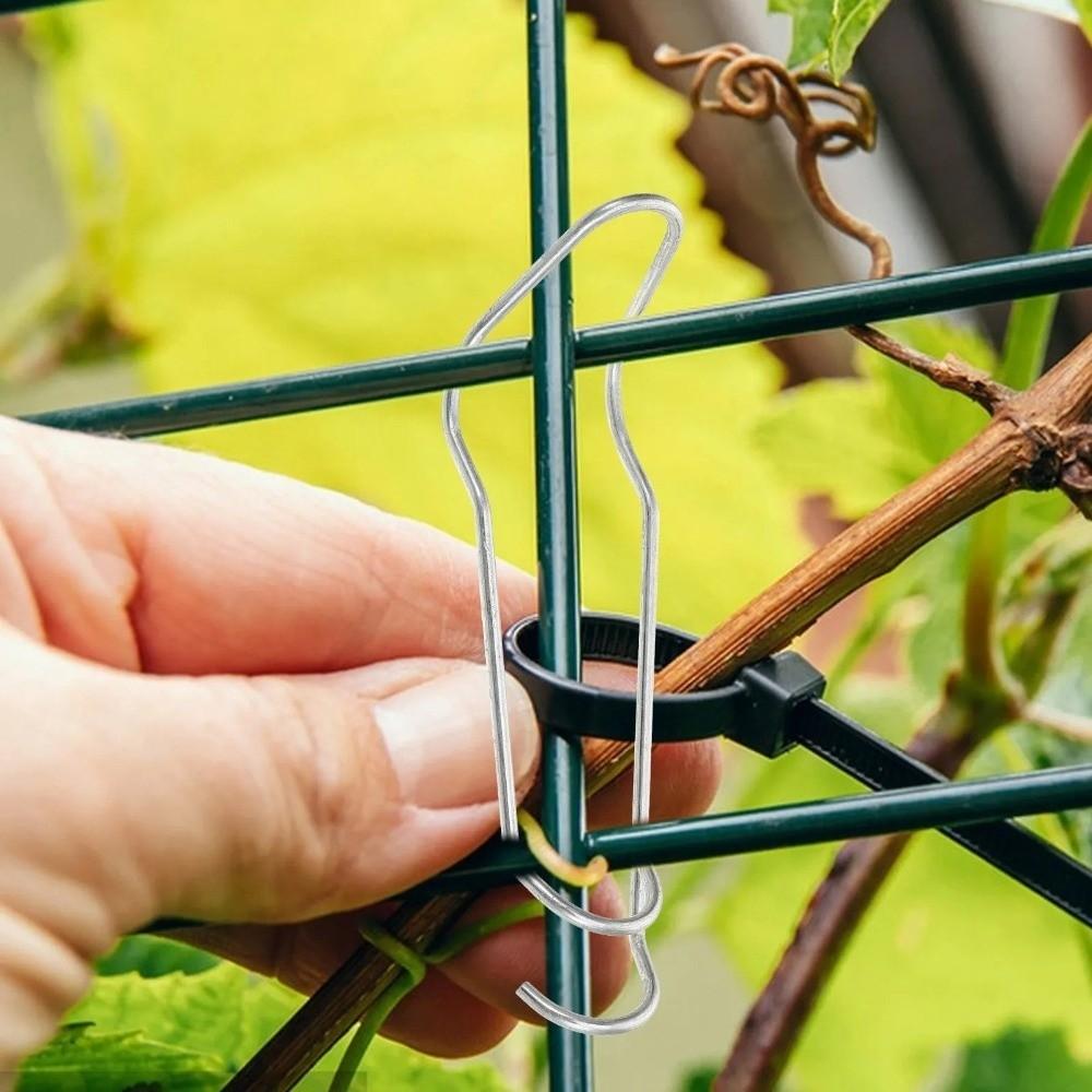 30Pcs Iron Climbing Pipe Support 11/16/20 MM Plant Connector Clip Fixing Clamp  Greenhouse