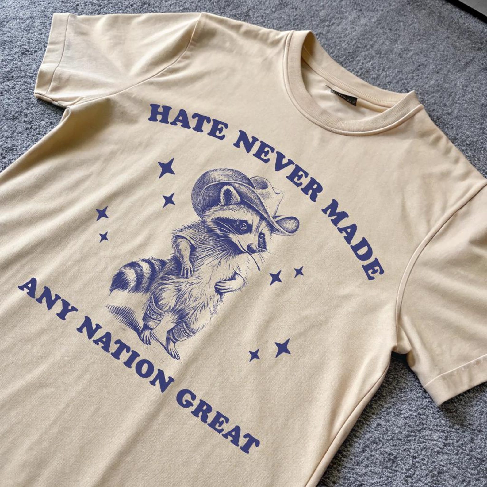Hate Never Made Any Nation Great Shirt, Funny Raccoon Drawing T-Shirt, Unhinged Meme Shirt, Trash Panda Shirt, Racial Equality T-Shirt XL