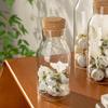 ZISIZ High Borosilicate Glass Storage Jars with Cork Lids