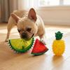 Elastic Surface Cooling Chew Toy Multi Shades Fruit Chew Toy Squeaky Dog Toy  Puppy Teething