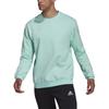 adidas Eingang 22 Einfarbiger Pullover Rundhalsausschnitt Langarm Sweatshirt Unisex Sweatshirt Grün HC5047