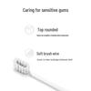 ROAMAN Sonic Electric Toothbrush CN plug (adapter included)
