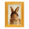 Wooden Photo Frame Refrigerator Magnet Animal Frame Fridge Magnet Home Office Whiteboard Decorative Accessories Humorous Gift