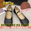 With skirt evening breeze French Mary Jane grandma shoes girl 2025 new autumn flat fairy shoes gentle single shoes