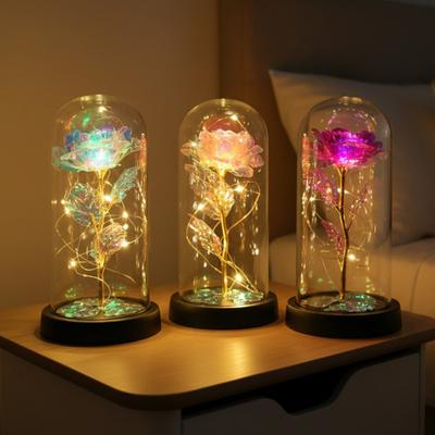 Trandafir Conservat în Cupolă cu Lumină LED Floare Artificială Eternă Cadouri pentru Ea Mamă Femei Ziua Îndrăgostiților Ziua Mamei Crăciun Cadou de Ziua de Naștere