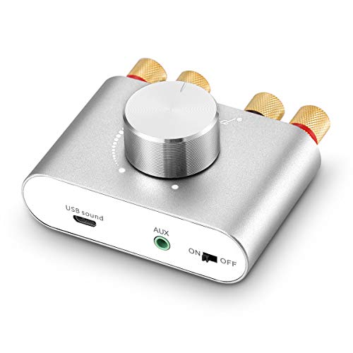 Nobsound NS-01G Pro Leistungsverstärker, Bluetooth 5.0, 100W, Verstärker, Lautsprecher, HiFi Audio, mit Netzteil (Silber)