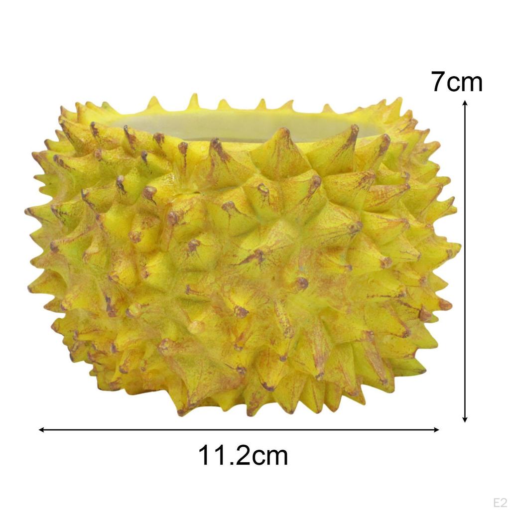 Vasă cu ghiveci Durian pentru plante de interior Decorație modernă pentru casă Vasă decorativă pentru plante