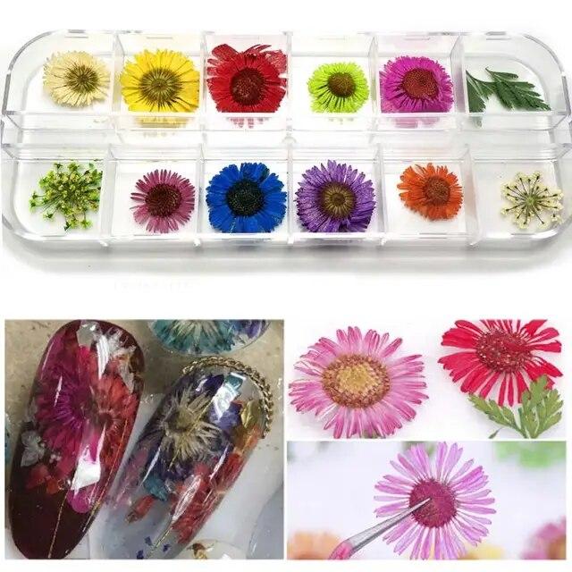 

24 шт. 3D наклейки с сухими цветами, настоящие сушеные цветы, украшения для ногтей, советы, маникюрные инструменты «сделай сам», с коробкой бежевый