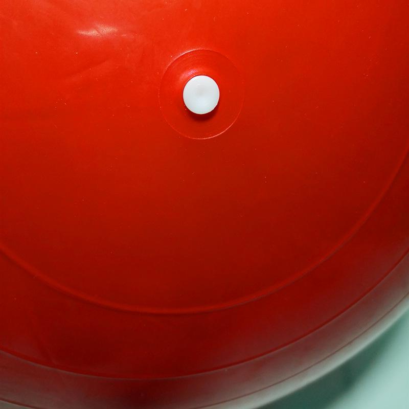 Thickened PVC Yoga Ball: 55cm, 65cm, 75cm - Perfect for Pilates & Fitness