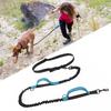 Outdoor Pet Dual Elastic Traction Rope Reflective Running At Night Stretchable Hands-free Dog Dual Handle Elastic Rope