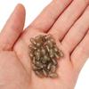 Connector Fishing Tackle Accessories Spinner Swivel Carp Fishing Feeder Coarse Swivel Stop Beads