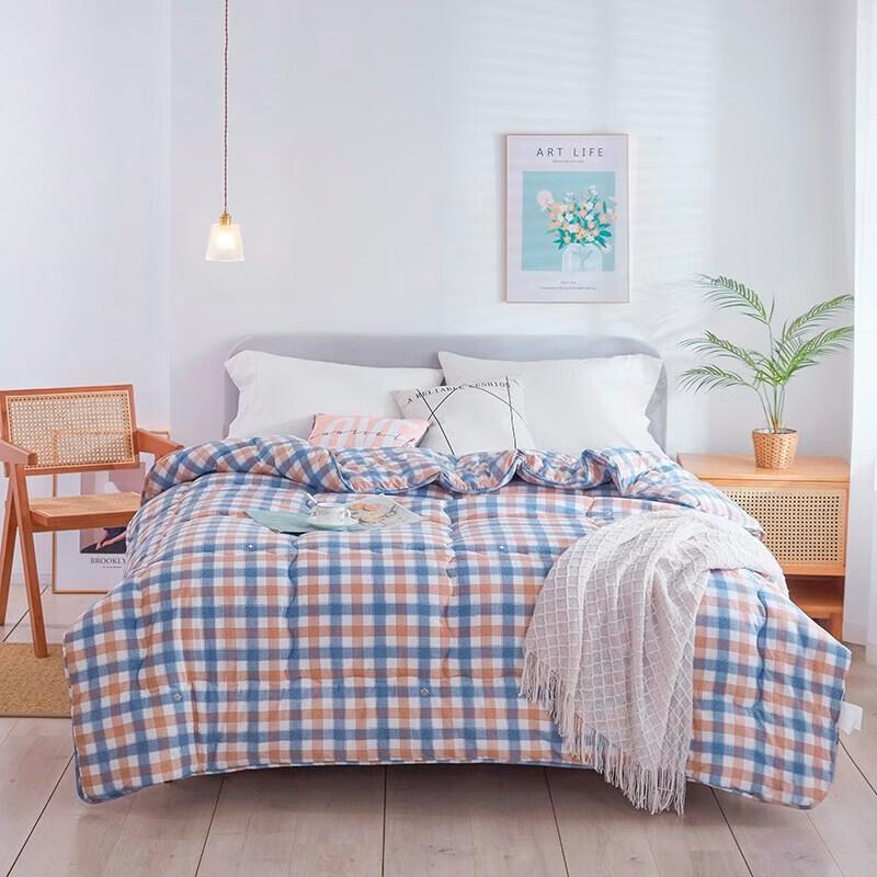 Paulog All-Season Polyester Quilt