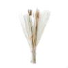 30-Piece Handpicked Dried Grass Bundle - Decor Collection
