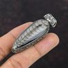 Orthoceras Fossil přívěsek 925 Sterling Silver Přívěsek Vintage přívěsek Ručně vyráběné šperky Pravý drahokam Přívěsek Dárek pro něj Léčivý kámen