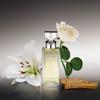 Calvin Klein - Eau de Parfum pour Femme Eternity - 100 ml - 