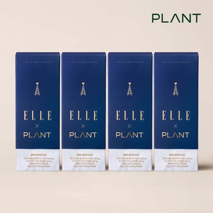 ELLE X Plant Collagen Lactic Acid Bacteria 4 BOX
