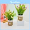 Potted Perennis Bellis Plant Linen Flower Pot For Hotel Dining Room Decoration