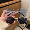 Trendy Small Frame Cat Eye Sunglasses Y2K Street Style Sunglasses Outdoor Men Women Fashion Outdoor Glasses Full Frame Silver Frame Light Blue Goggle