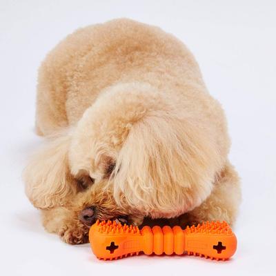Dog Toy TREATS LOVER Bone S