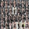 Women Sheer Mesh Open Crotch Bodystocking Intimate Lingerie Set