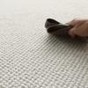 Luxurious Area Rug Soft Pile Area Rug Easy Cleaning Floor Mat for Home Decoration AntiSlip Backing Farmhouses Carpet