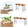 2pcs Flower Planter Hydroponic Plant Bulb Vase 2 /3 Bulbs Office Decorations