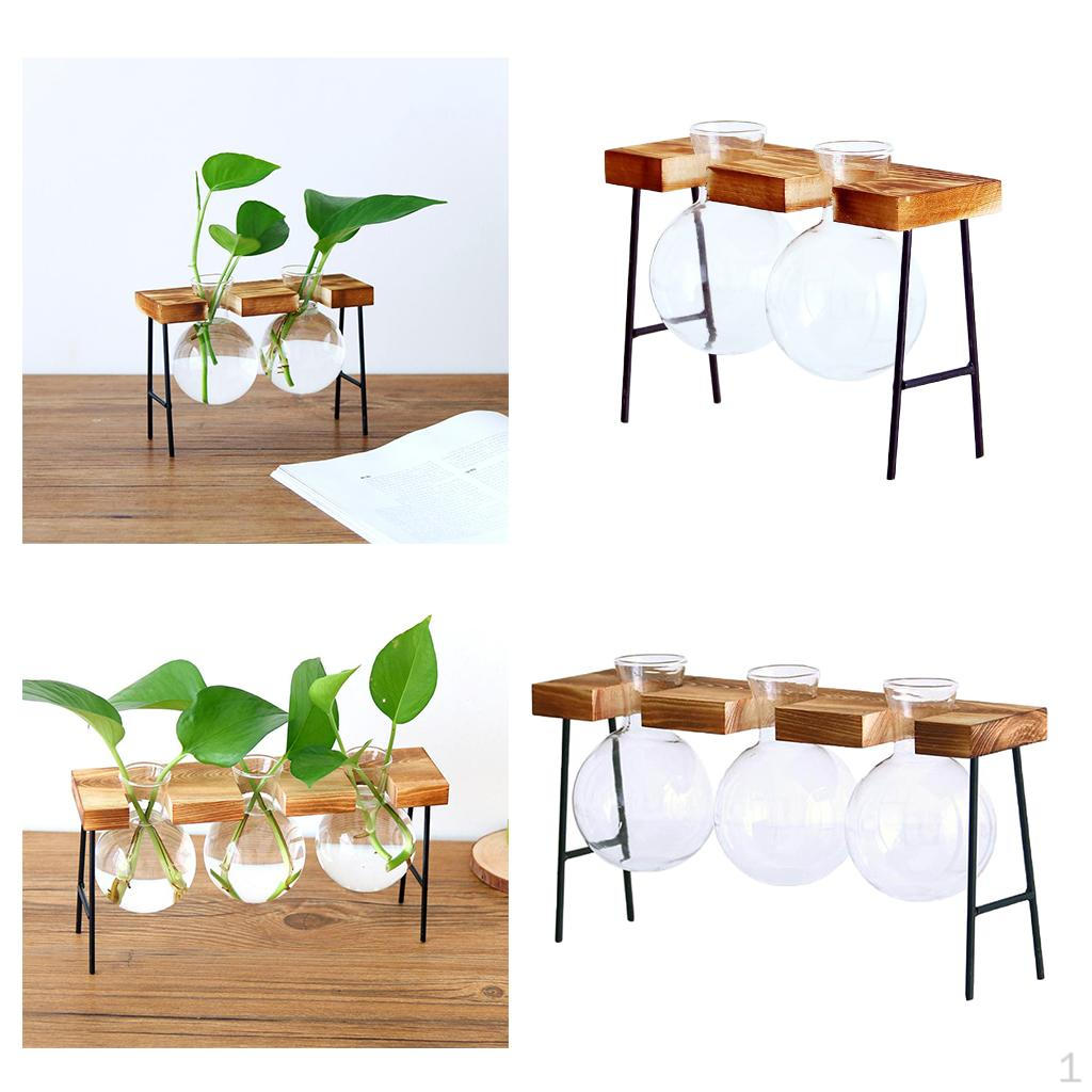 

2 шт. Кашпо для цветов Гидропонная ваза для луковиц растений 2 /3 луковицы Офисные украшения