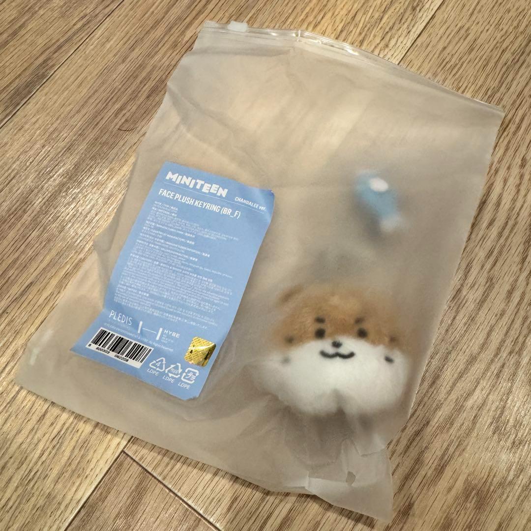 

[Б/У] Поп-ап брелок SEVENTEEN MINITEEN Дино