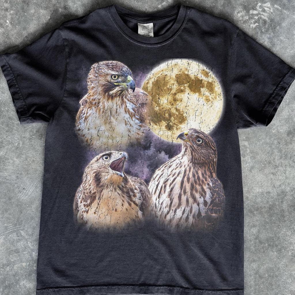 Hawk Moon Graphic T-Shirt, Vintage Bird Watching Nature Tee