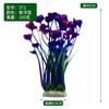 Künstliche Aquarium Pflanze 40cm Hoch mit Stabilem Sockel 8 5cm Breit für Aquarien Dekoration Langlebiger und Leichter Kunststoff Wasserpflanze