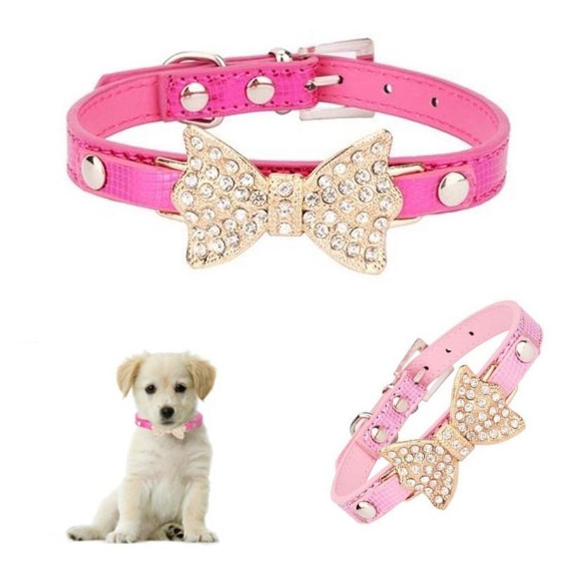 choker harness dog
